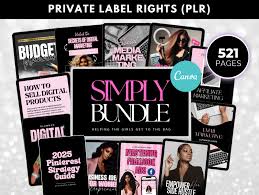 Internet Marketing Course PLR Bundles